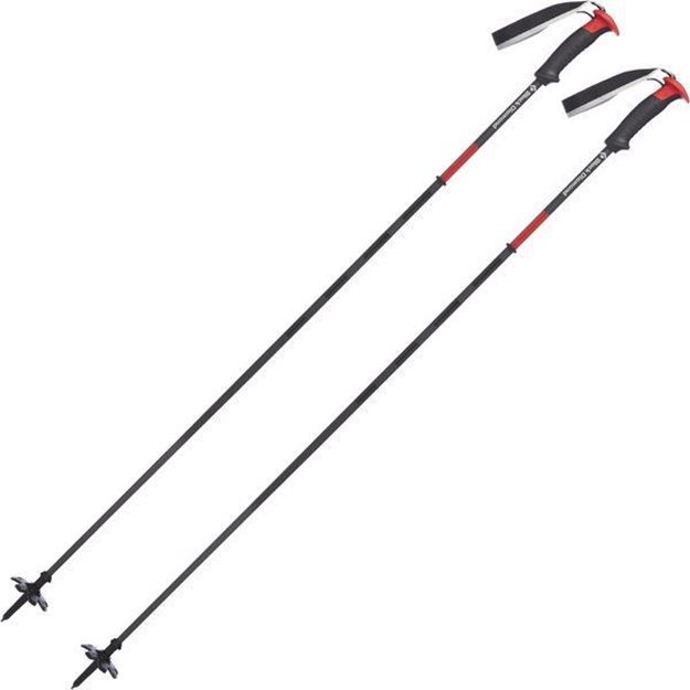 Picture of Ski Poles Only