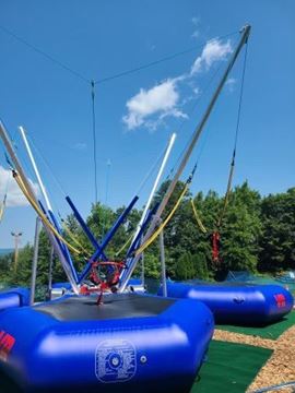 Picture of Bungee Trampoline