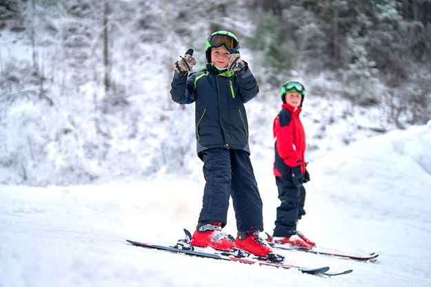 Picture of Beginner Lesson- Ski
