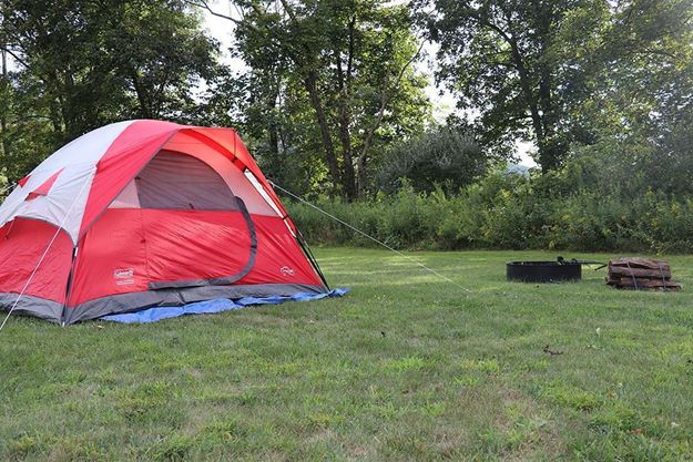 Picture of Basic Camping