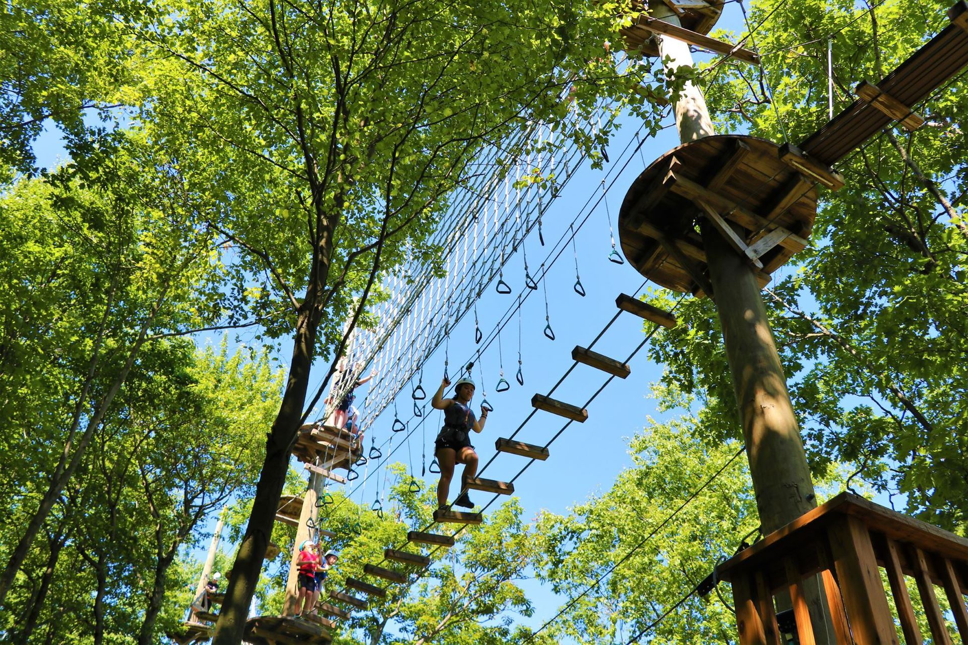 Picture for category Flying Fox - Summer